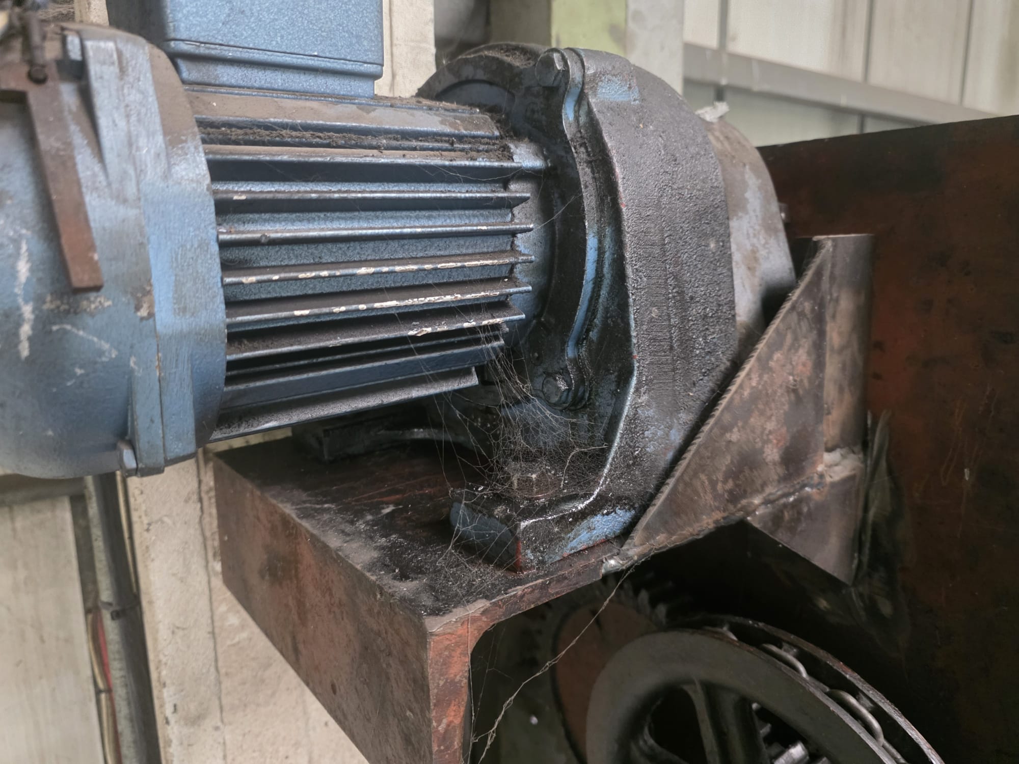 Contaminated motor and drive assembly